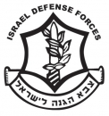 IDF Emblem T-Shirt